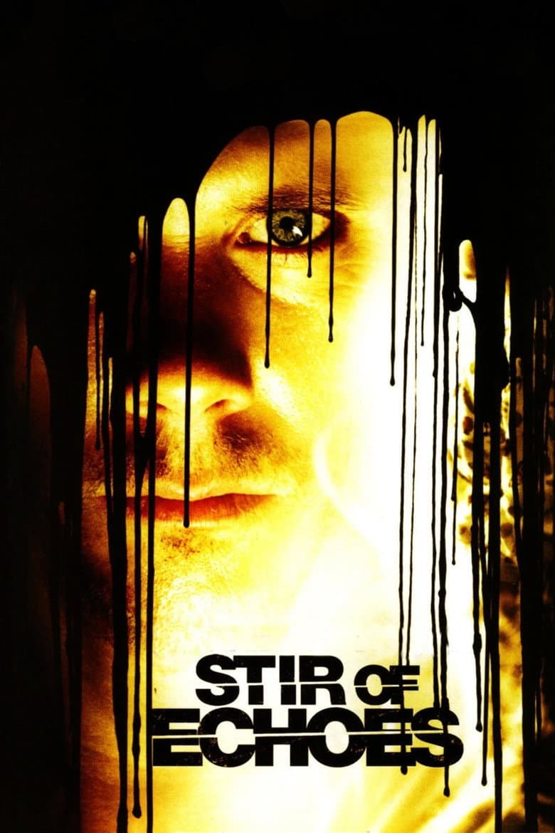 Stir of Echoes — posters 2