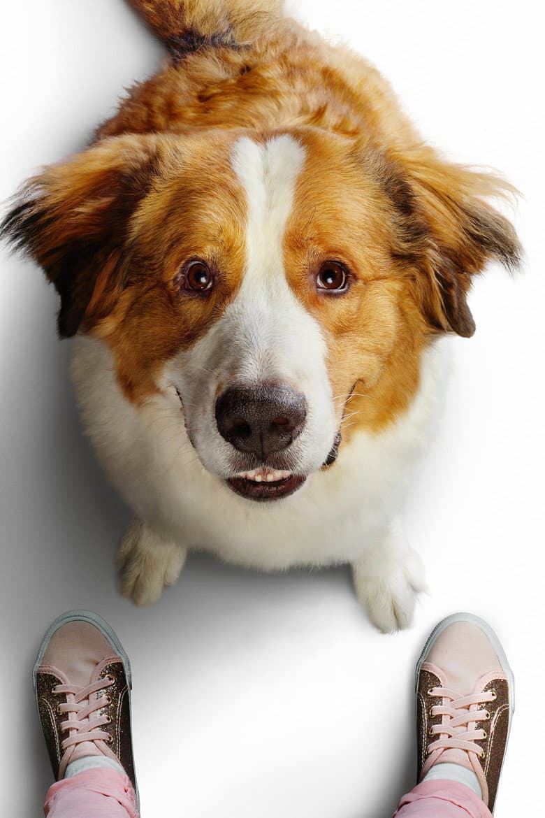 A Dog's Journey — posters 4