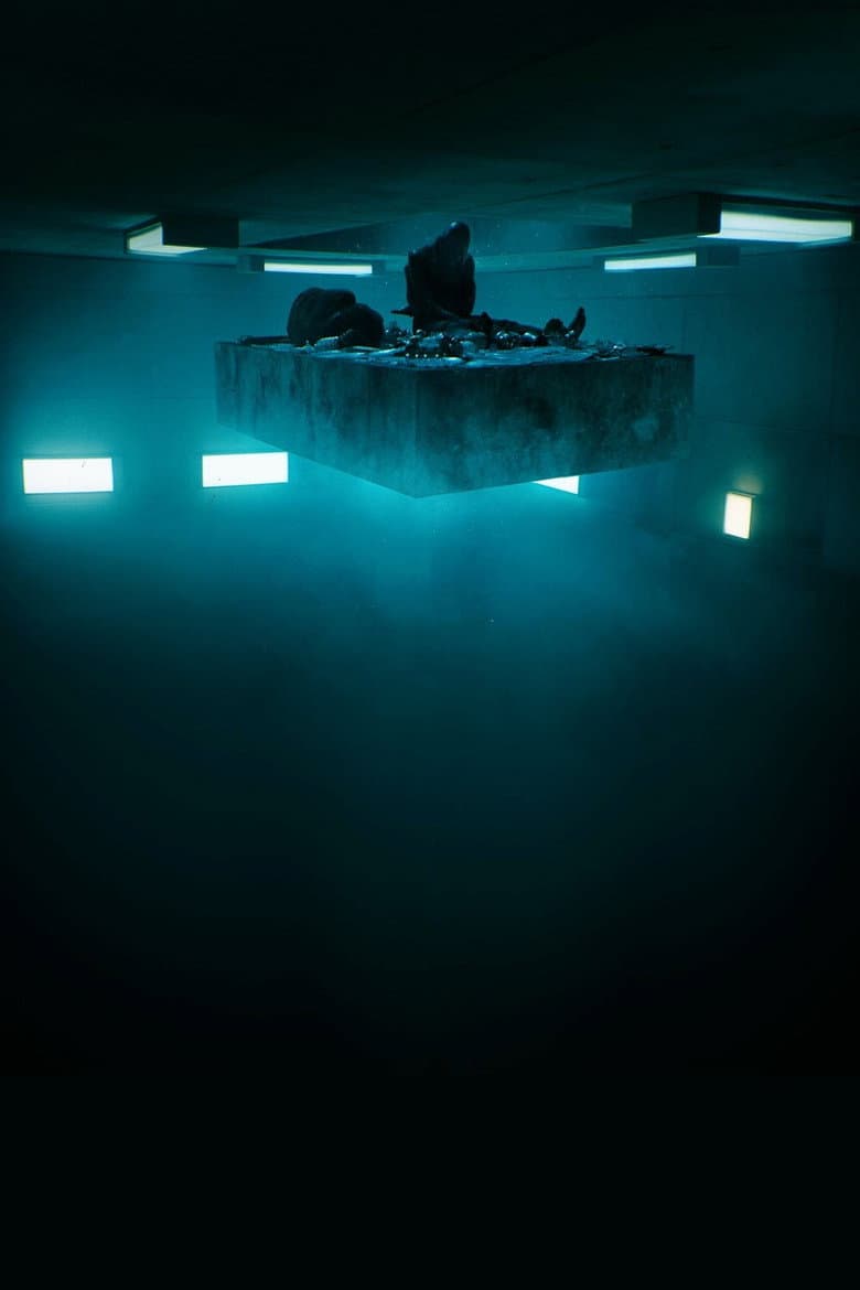 The Platform — posters 8