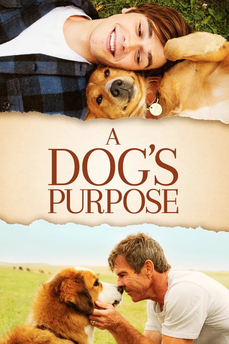 A Dog's Purpose — posters 5