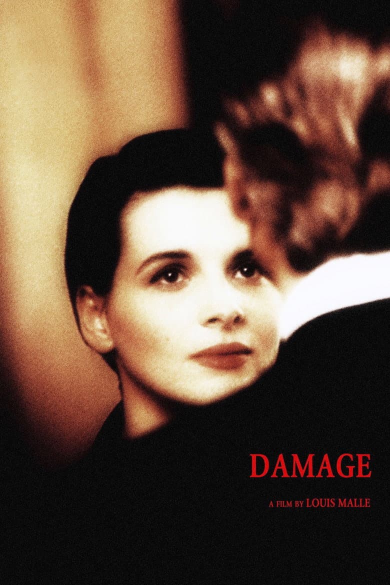 Damage — posters 3