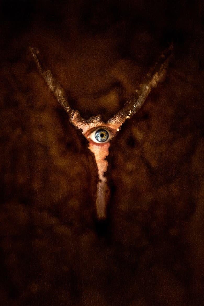 Return to Silent Hill — posters 3