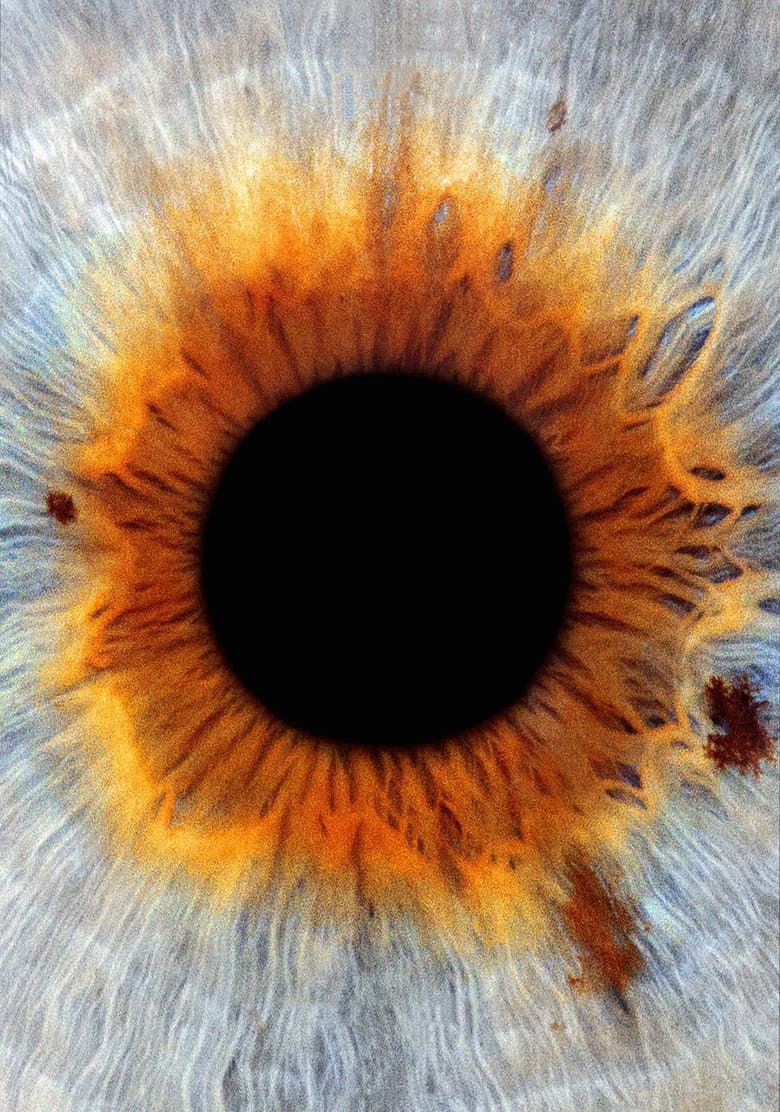 I Origins — posters 8