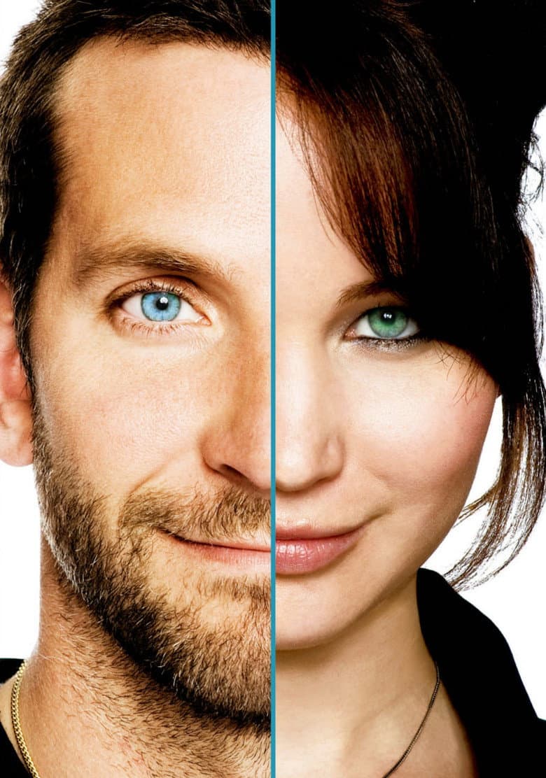 Silver Linings Playbook — posters 2