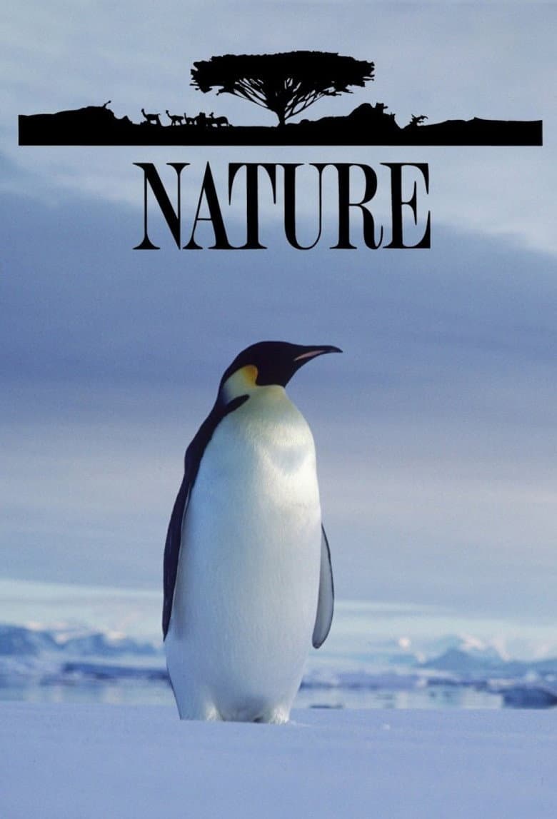 Nature — posters 6
