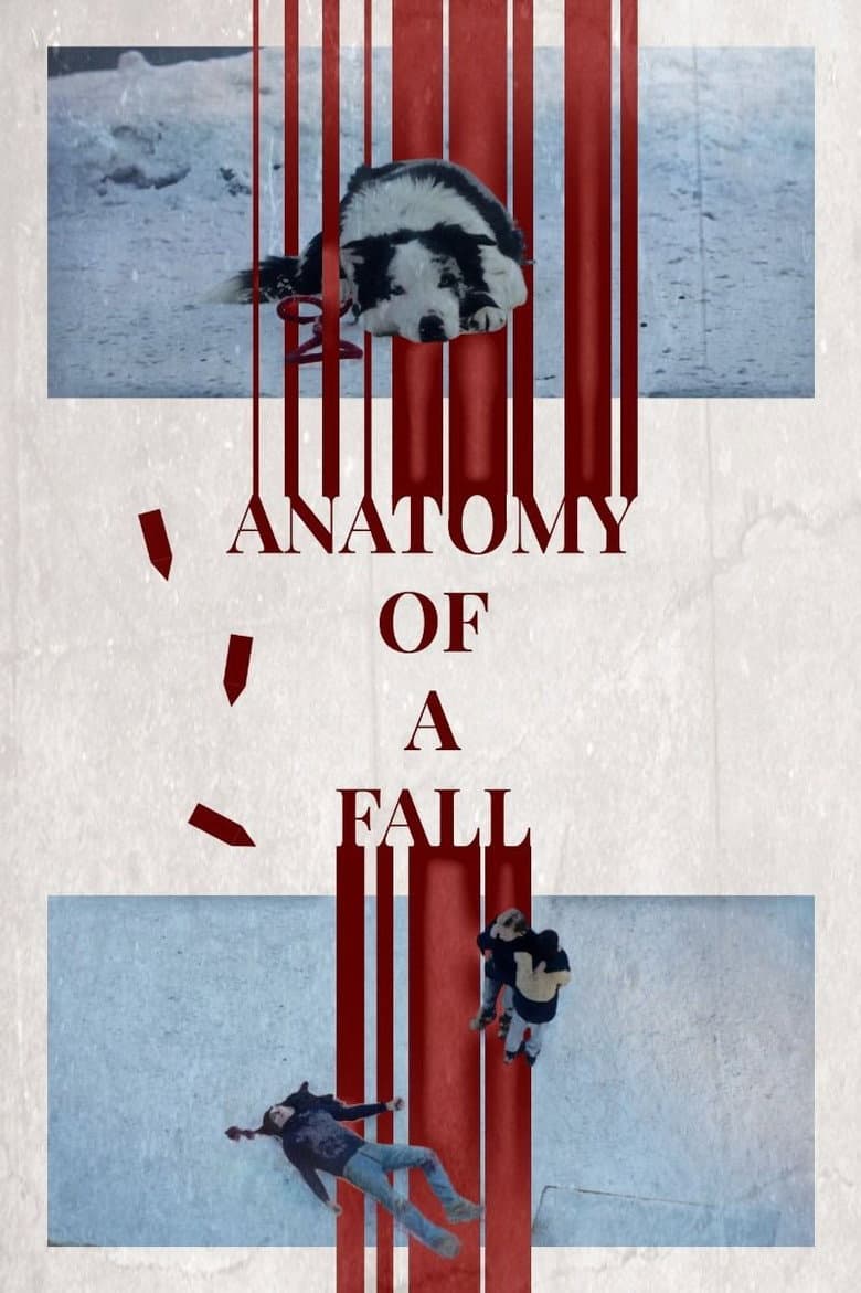 Anatomy of a Fall — posters 5