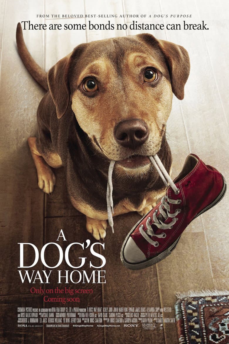 A Dog's Way Home — posters 6