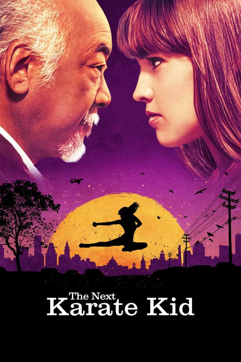 The Next Karate Kid — posters 5