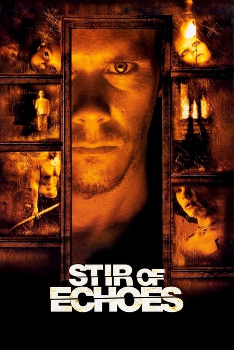 Stir of Echoes — posters 4