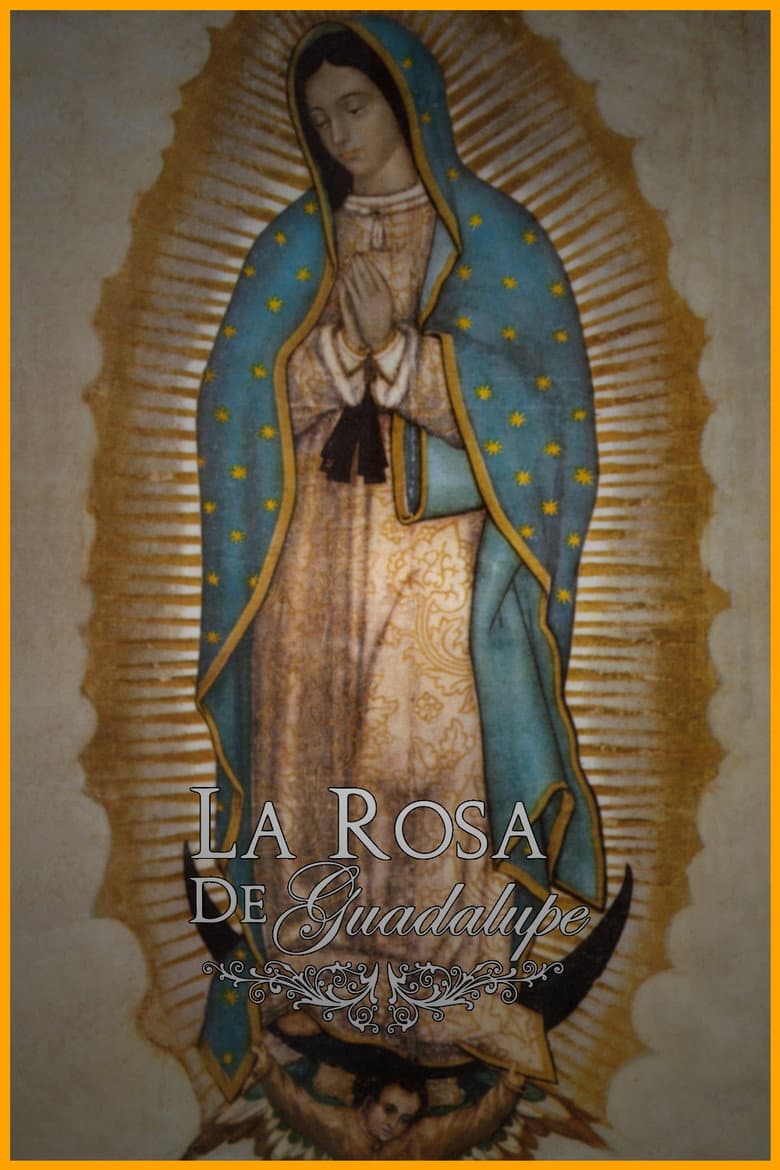 La rosa de Guadalupe — posters 2