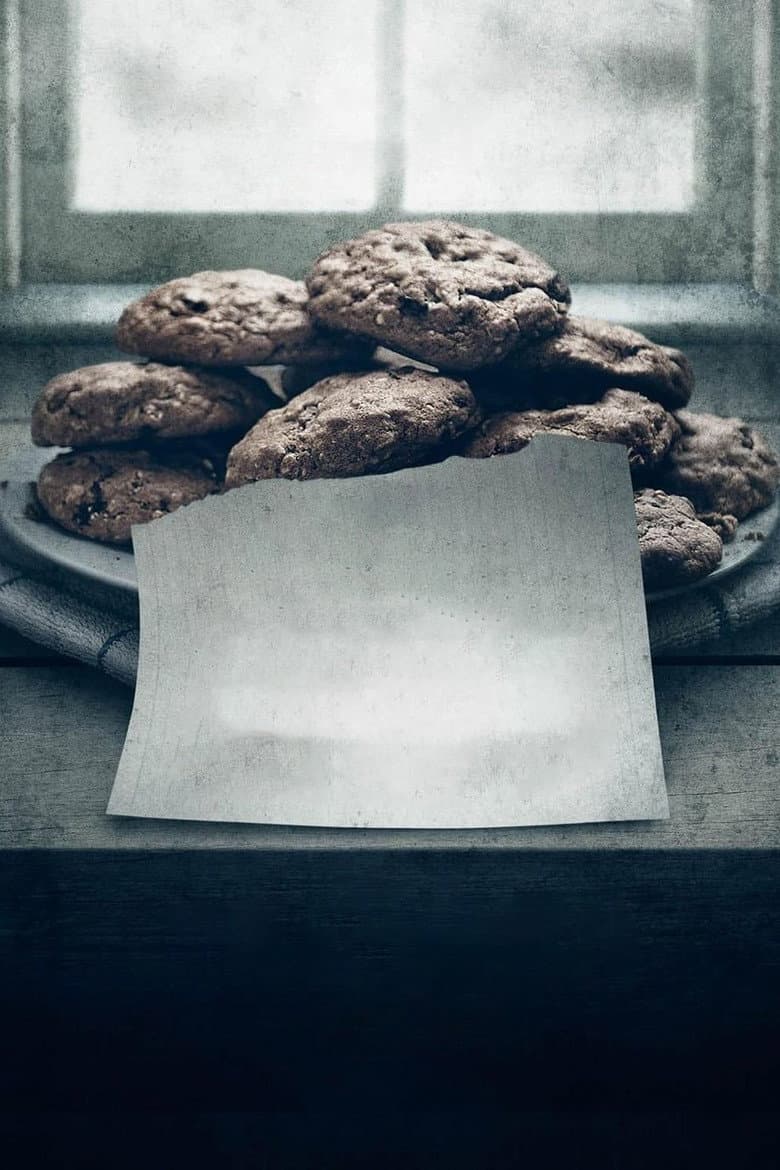 The Visit — posters 4