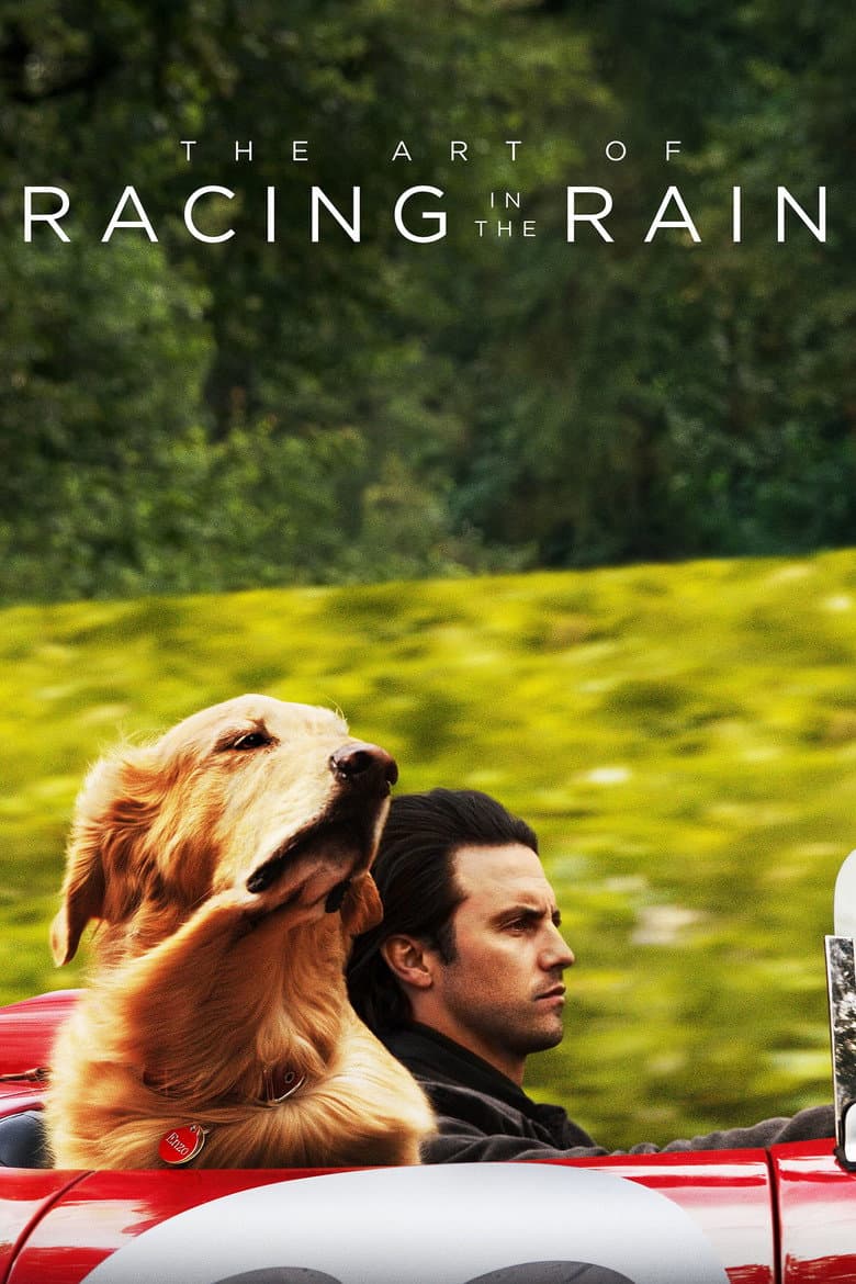 The Art of Racing in the Rain — posters 5