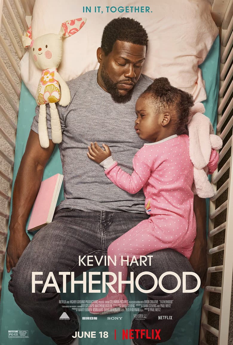 Fatherhood — posters 6