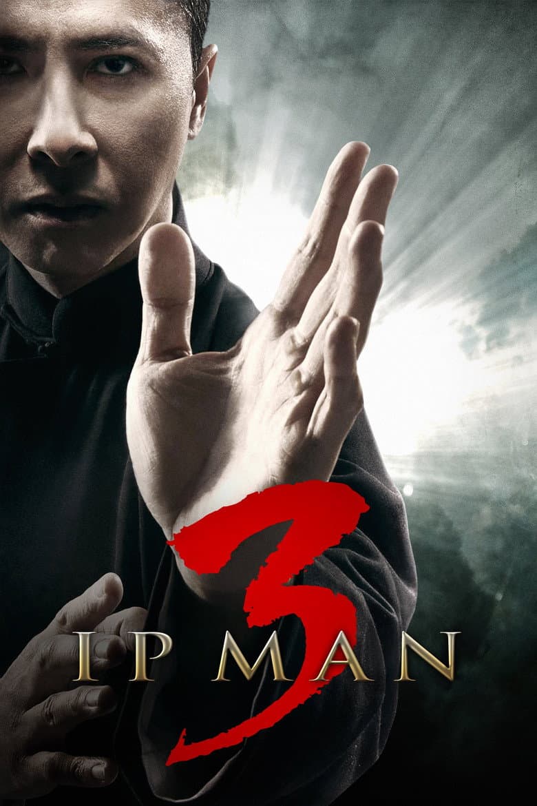 Ip Man 3 — posters 4