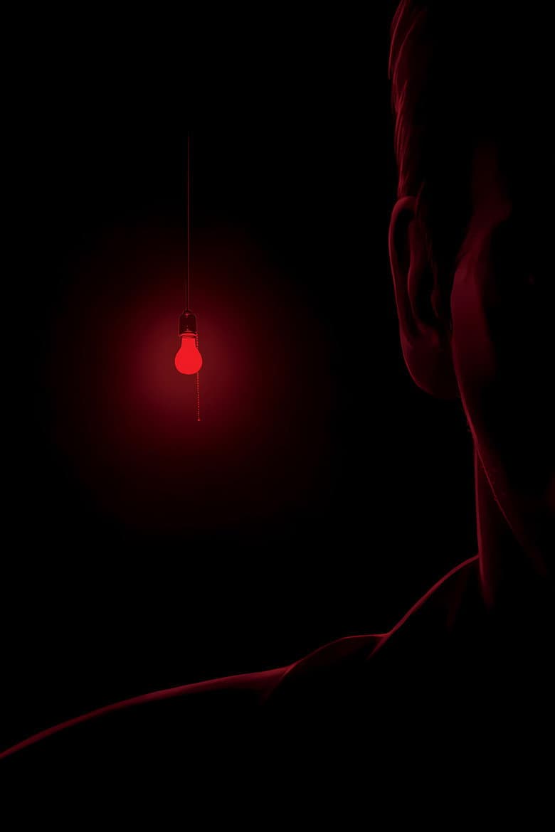 Stir of Echoes — posters 6