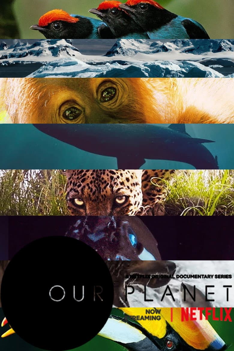 Our Planet — posters 8