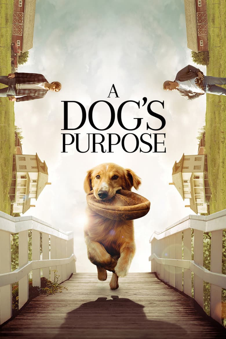 A Dog's Purpose — posters 2