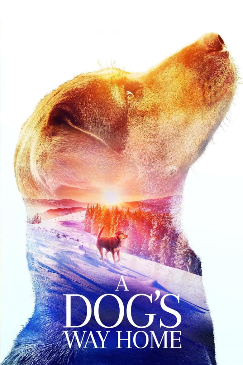 A Dog's Way Home — posters 2