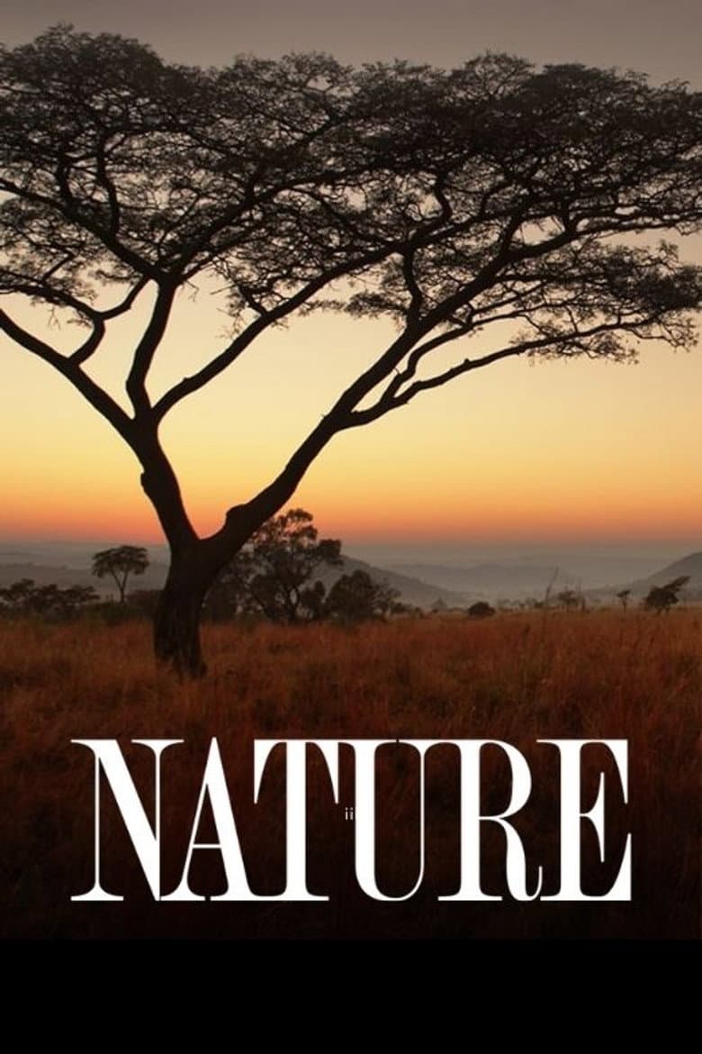 Nature — posters 2