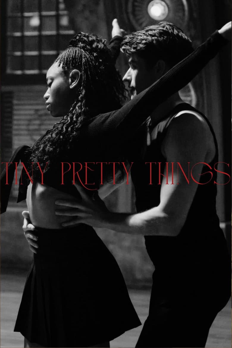 Tiny Pretty Things — posters 8