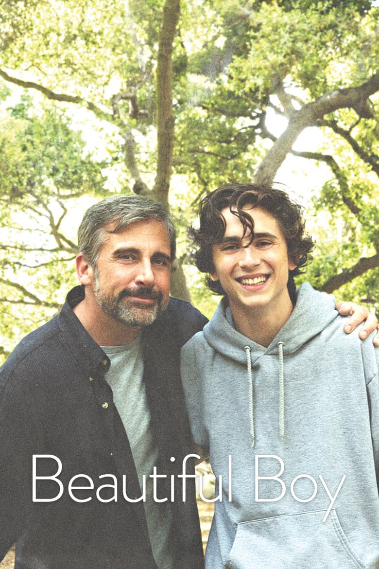 Beautiful Boy — posters 7