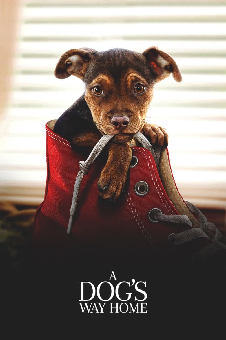A Dog's Way Home — posters 7