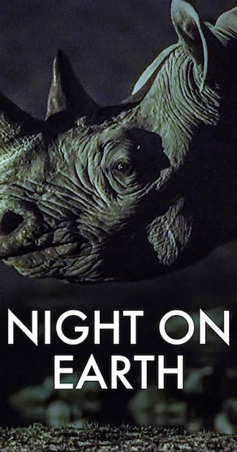 Night on Earth — posters 3