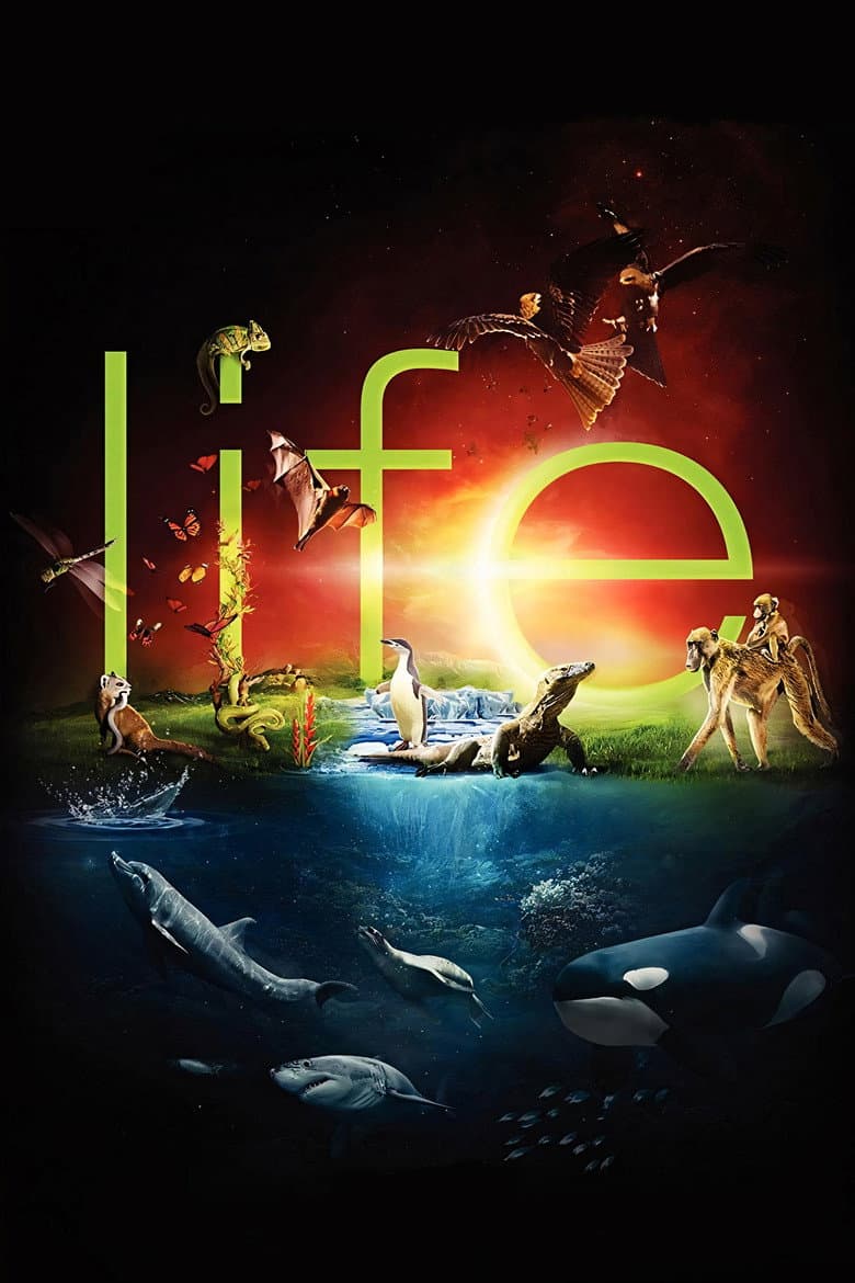 Life — posters 3