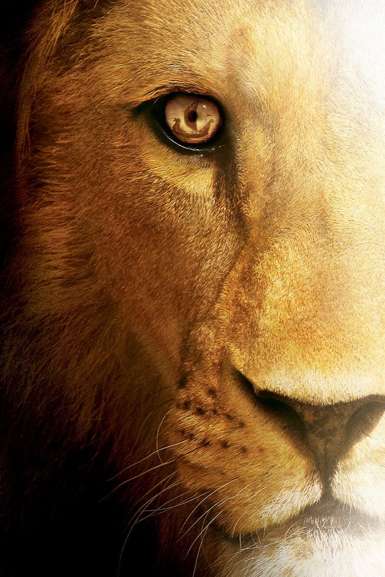 The Chronicles of Narnia: The Voyage of the Dawn Treader — posters 3