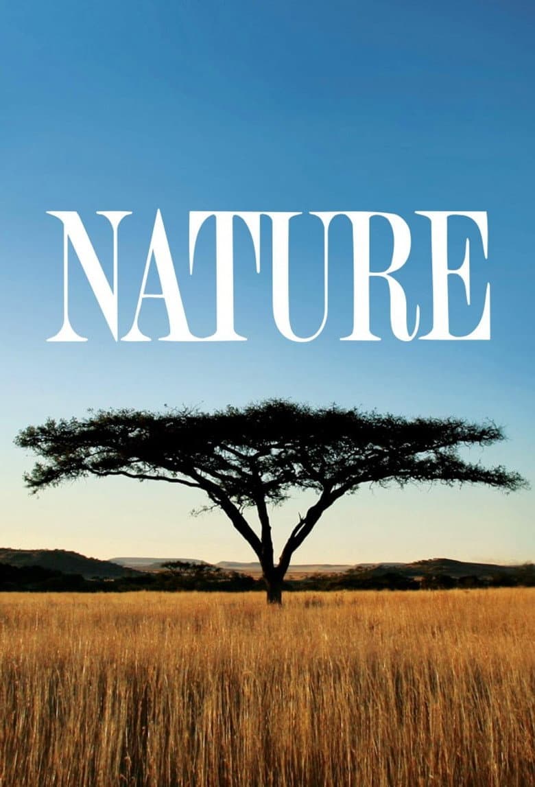 Nature — posters 7
