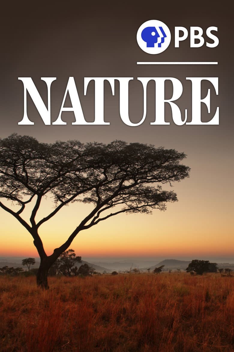 Nature — posters 4
