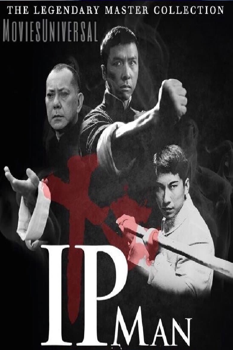 Ip Man — posters 8