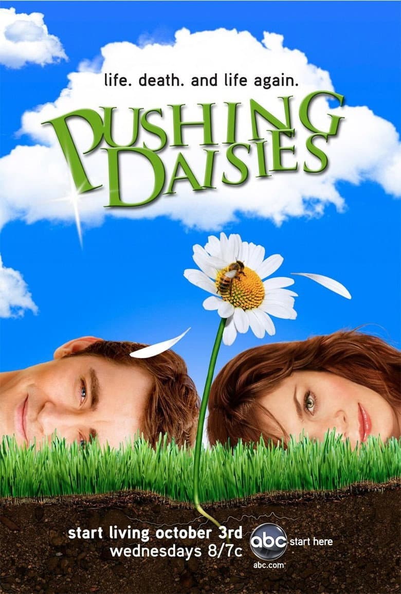 Pushing Daisies — posters 8
