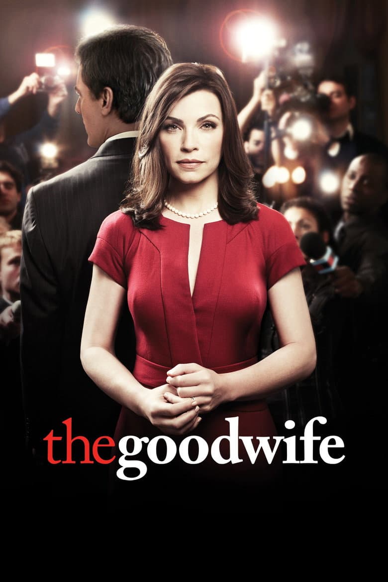 The Good Wife — posters 8