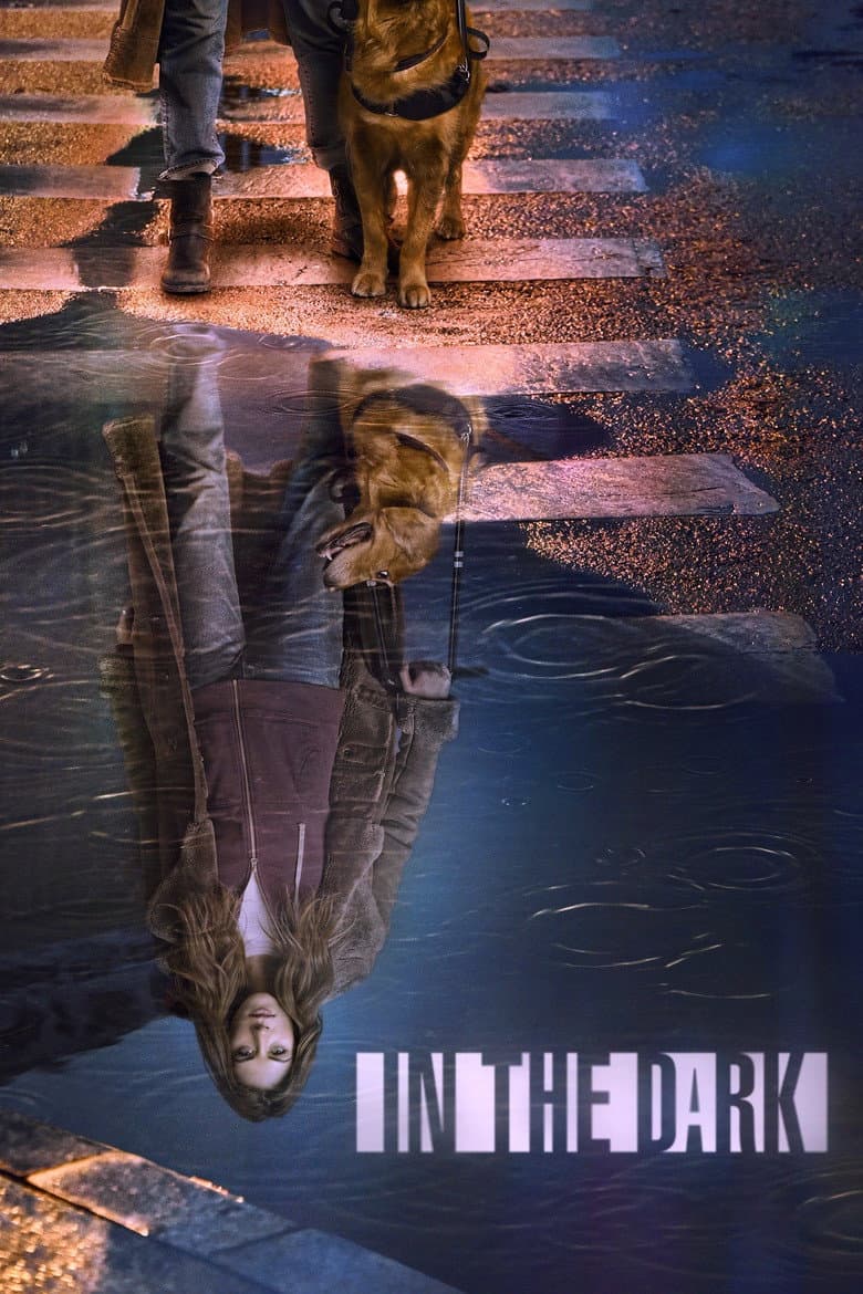 In the Dark — posters 8