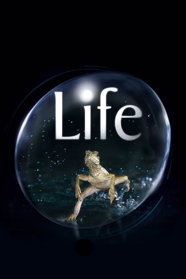 Life — posters 8