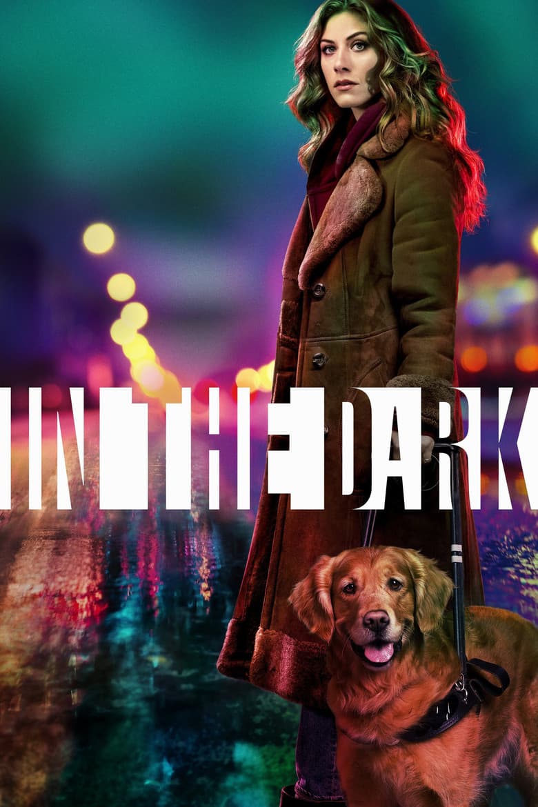 In the Dark — posters 2
