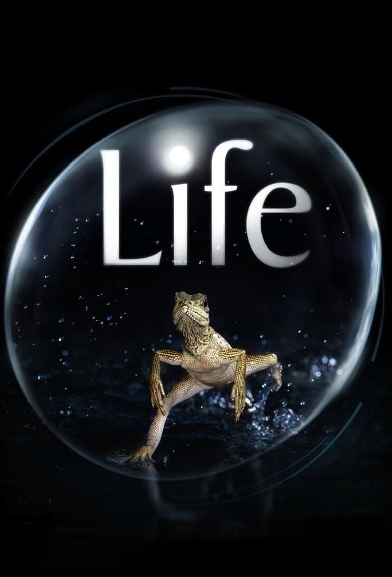Life — posters 4