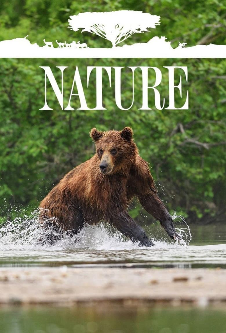 Nature — posters 5