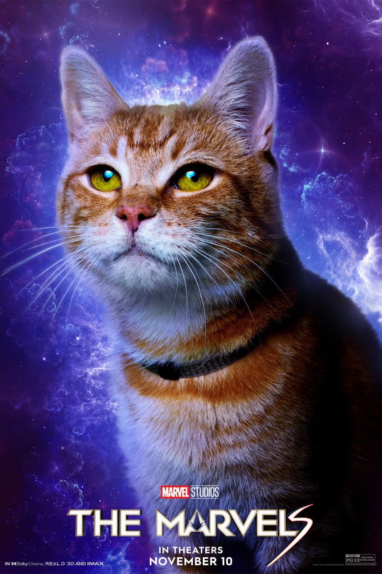 The Marvels — posters 8