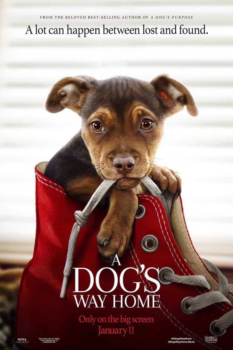 A Dog's Way Home — posters 4
