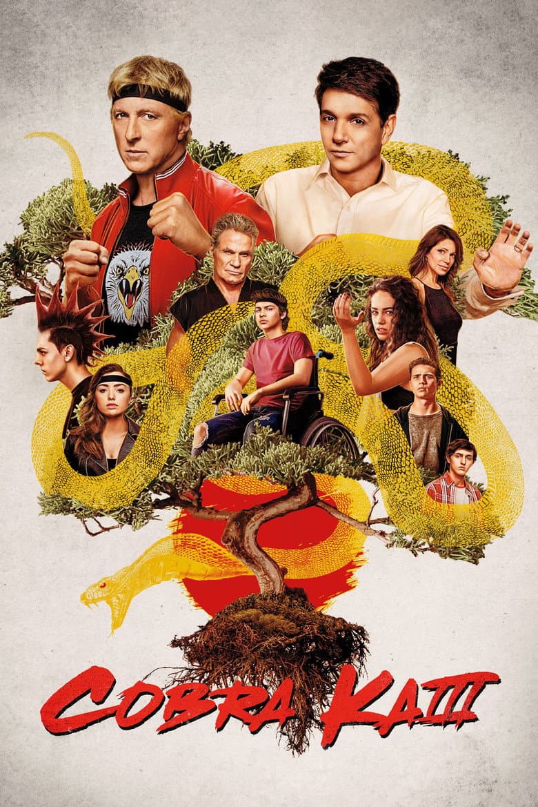 Cobra Kai — posters 7