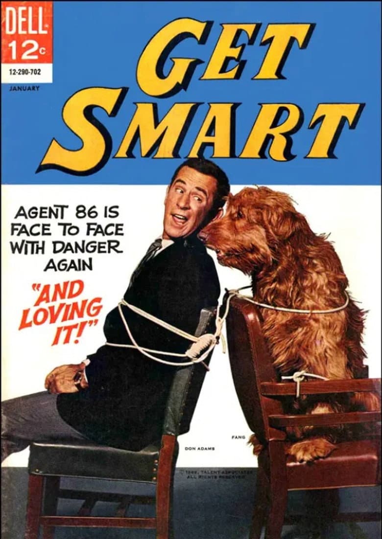Get Smart — posters 3