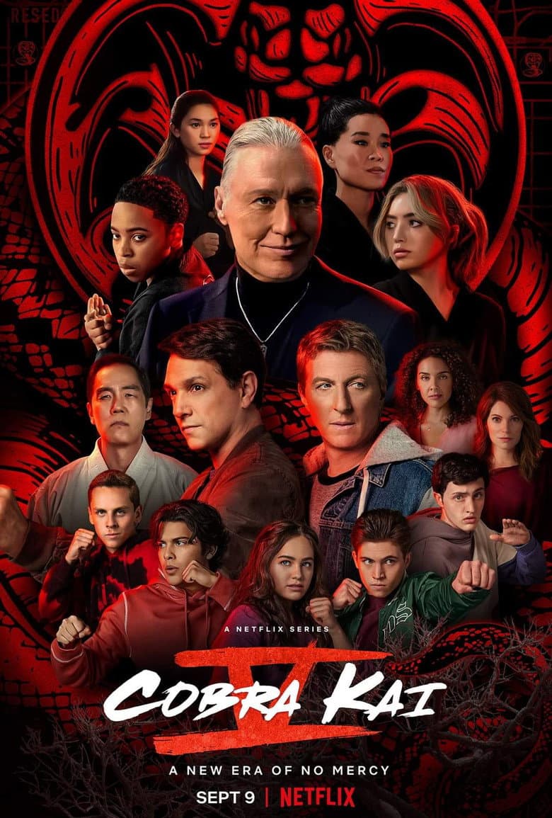 Cobra Kai — posters 8