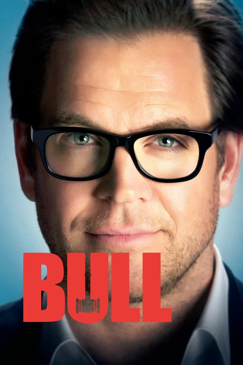 Bull — posters 4
