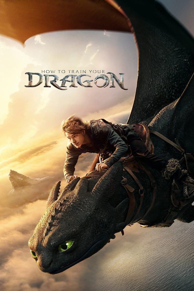 How to Train Your Dragon — posters 2