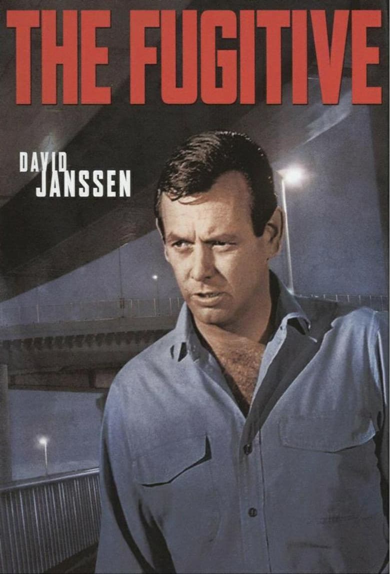 The Fugitive — posters 6