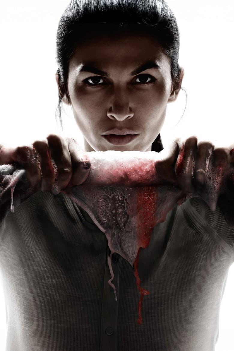 The Cleaning Lady — posters 5