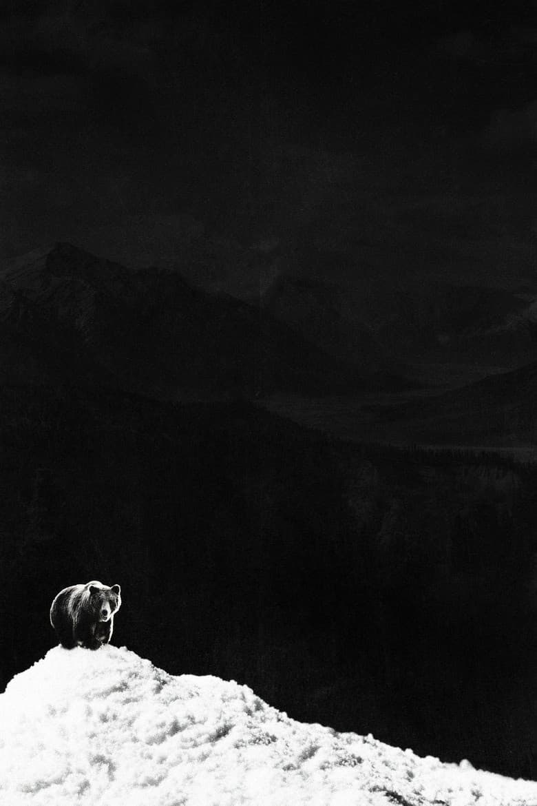 Cocaine Bear — posters 3
