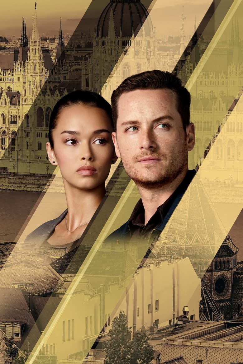 FBI: International — posters 3